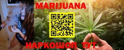 мдпв Кингисепп