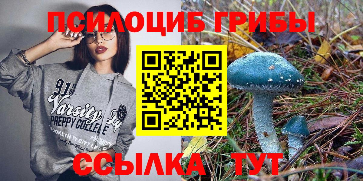 Галлюциногенные грибы Psilocybine cubensis  Галлюциногенные грибы Cubensis  Дагестанские Огни  Вход с VPN 
