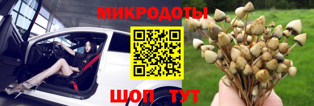 Псилоцибиновые грибы GOLDEN TEACHER Дагестанские Огни